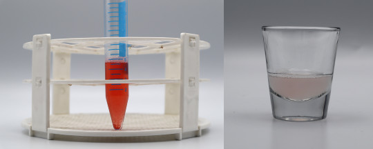 Carolina Biological spit (left) and DIY spit (right).